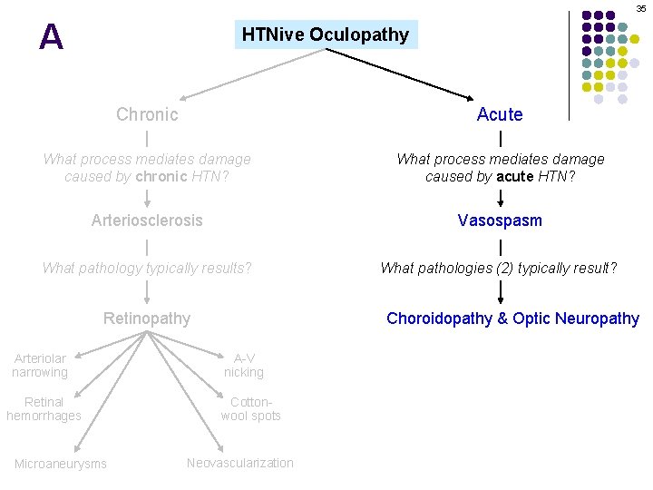 35 A HTNive Oculopathy Chronic Acute What process mediates damage caused by chronic HTN?