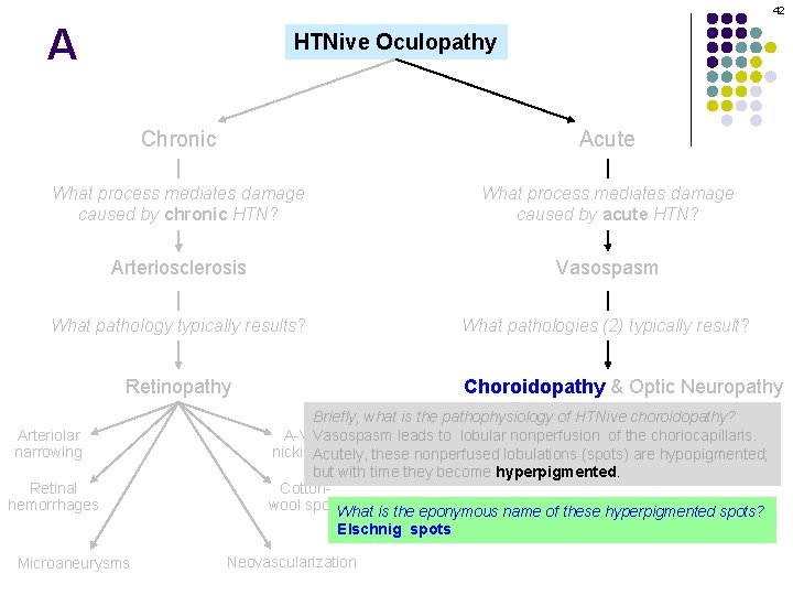 42 A HTNive Oculopathy Chronic Acute What process mediates damage caused by chronic HTN?