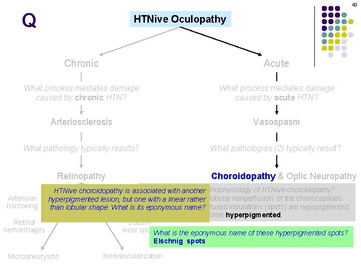 43 Q HTNive Oculopathy Chronic Acute What process mediates damage caused by chronic HTN?