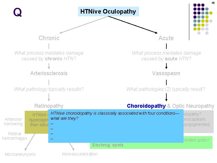 46 Q HTNive Oculopathy Chronic Acute What process mediates damage caused by chronic HTN?