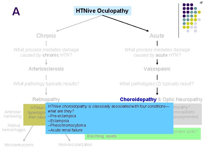 47 A HTNive Oculopathy Chronic Acute What process mediates damage caused by chronic HTN?