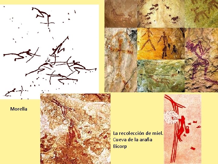 Morella La recolección de miel. Cueva de la araña Bicorp 