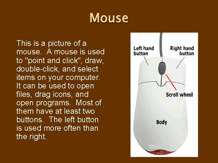 Mouse This is a picture of a mouse. A mouse is used to "point Mouse This is a picture of a mouse. A mouse is used to "point