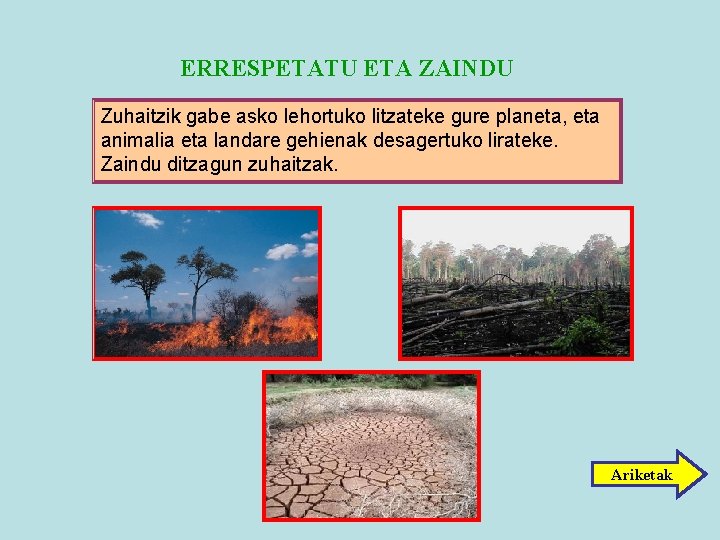 ERRESPETATU ETA ZAINDU Zuhaitzik gabe asko lehortuko litzateke gure planeta, eta animalia eta landare