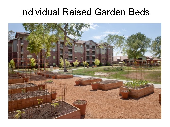 Individual Raised Garden Beds 