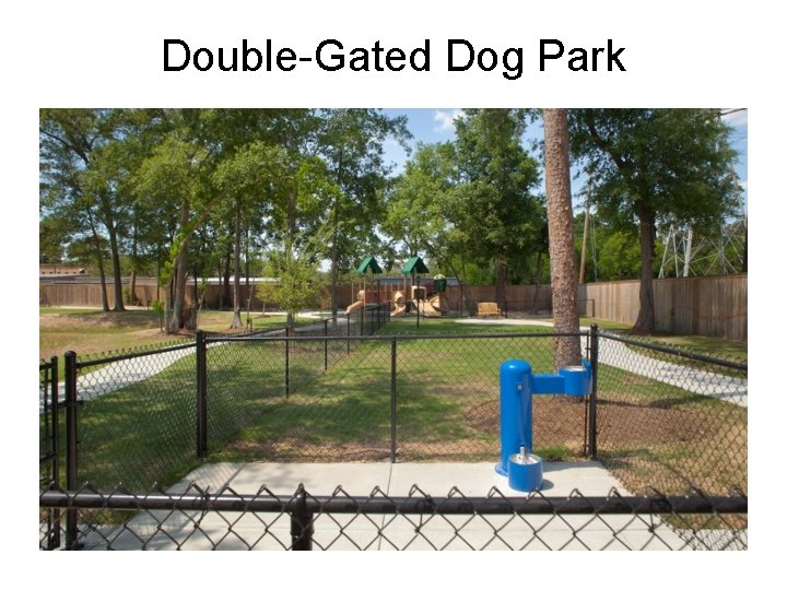Double-Gated Dog Park 