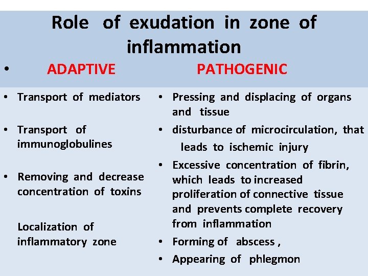 Role of exudation in zone of inflammation • ADAPTIVE • Transport of mediators •