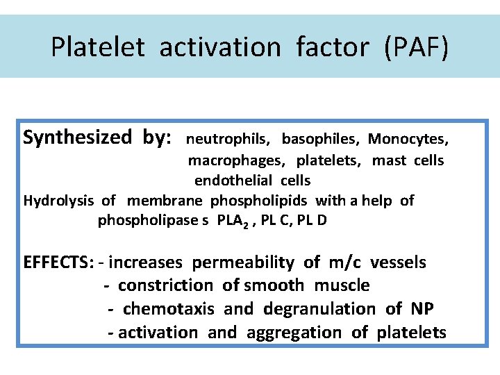Platelet activation factor (PAF) Synthesized by: neutrophils, basophiles, Monocytes, macrophages, platelets, mast cells endothelial