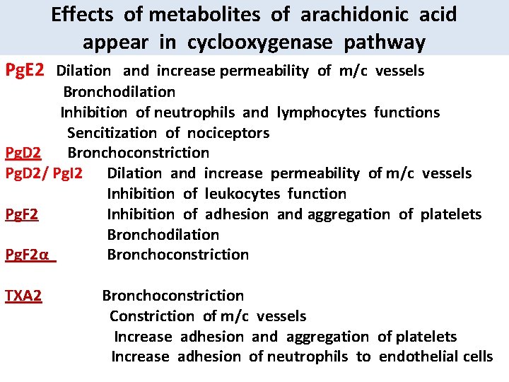 Effects of metabolites of arachidonic acid appear in cyclooxygenase pathway Pg. E 2 Dilation
