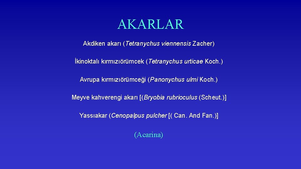 AKARLAR Akdiken akarı (Tetranychus viennensis Zacher) İkinoktalı kırmızıörümcek (Tetranychus urticae Koch. ) Avrupa kırmızıörümceği
