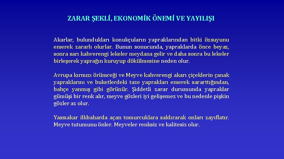 ZARAR ŞEKLİ, EKONOMİK ÖNEMİ VE YAYILIŞI Akarlar, bulundukları konukçuların yapraklarından bitki özsuyunu emerek zararlı