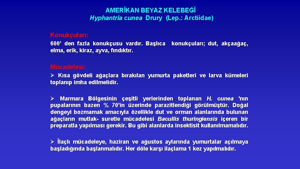 AMERİKAN BEYAZ KELEBEĞİ Hyphantria cunea Drury (Lep. : Arctiidae) Konukçuları: 600’ den fazla konukçusu