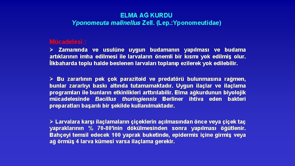 ELMA AĞ KURDU Yponomeuta malinellus Zell. (Lep. : Yponomeutidae) Mücadelesi : Ø Zamanında ve