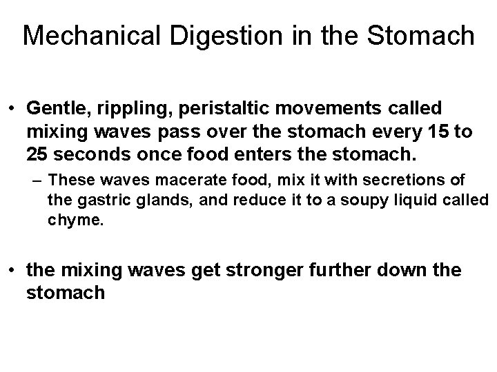 Mechanical Digestion in the Stomach • Gentle, rippling, peristaltic movements called mixing waves pass