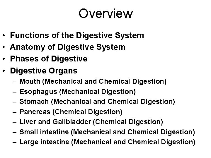 Overview • • Functions of the Digestive System Anatomy of Digestive System Phases of