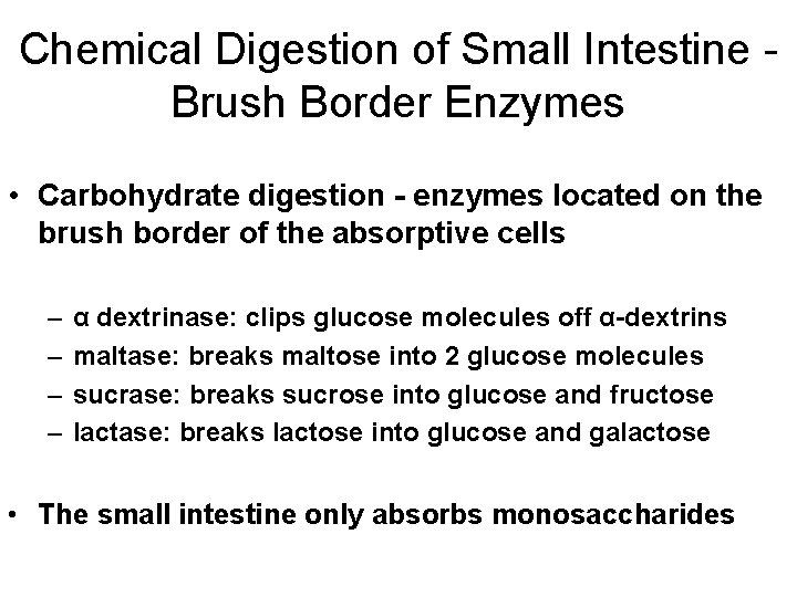 Chemical Digestion of Small Intestine Brush Border Enzymes • Carbohydrate digestion - enzymes located