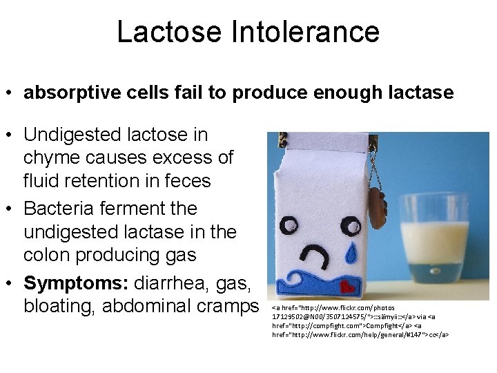 Lactose Intolerance • absorptive cells fail to produce enough lactase • Undigested lactose in