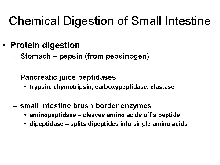 Chemical Digestion of Small Intestine • Protein digestion – Stomach – pepsin (from pepsinogen)