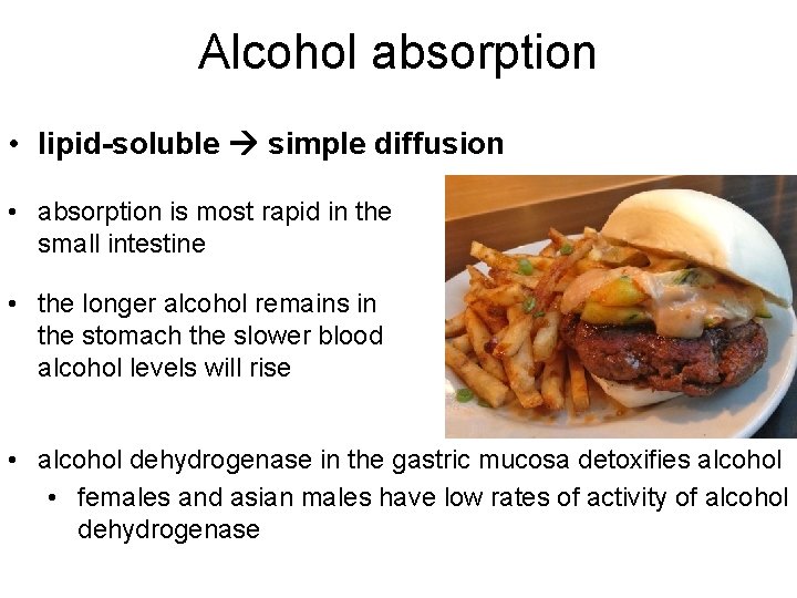 Alcohol absorption • lipid-soluble simple diffusion • absorption is most rapid in the small