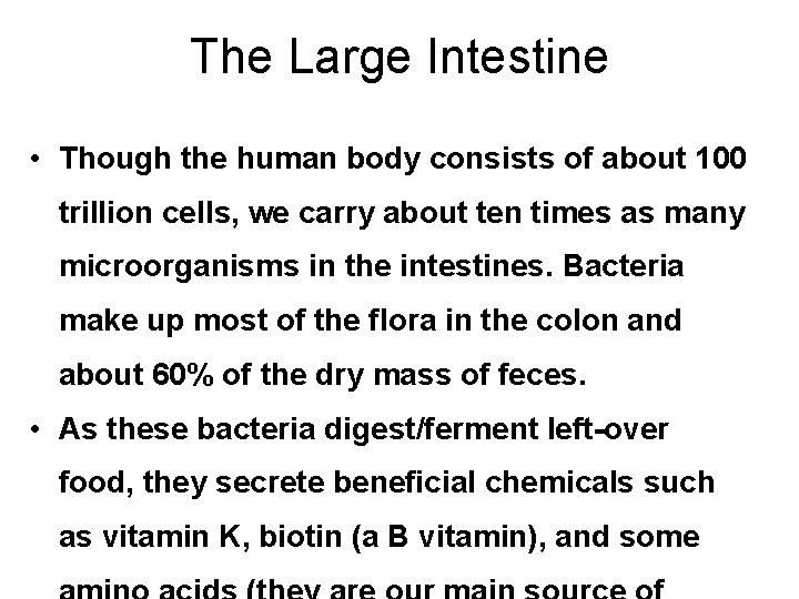 The Large Intestine • Though the human body consists of about 100 trillion cells,