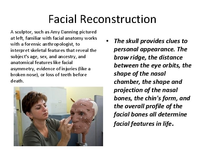 Facial Reconstruction A sculptor, such as Amy Danning pictured at left, familiar with facial