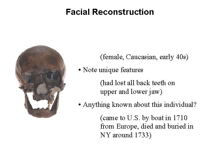 Facial Reconstruction 1. Obtain skull • Determine demographic information (female, Caucasian, early 40 s)