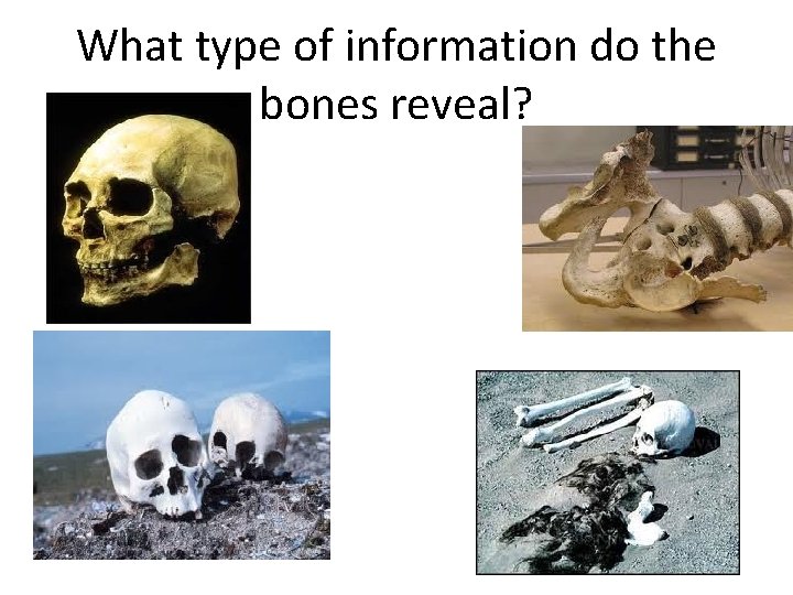 What type of information do the bones reveal? • . 