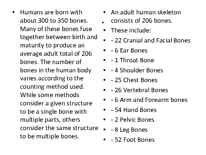  • Humans are born with about 300 to 350 bones. Many of these