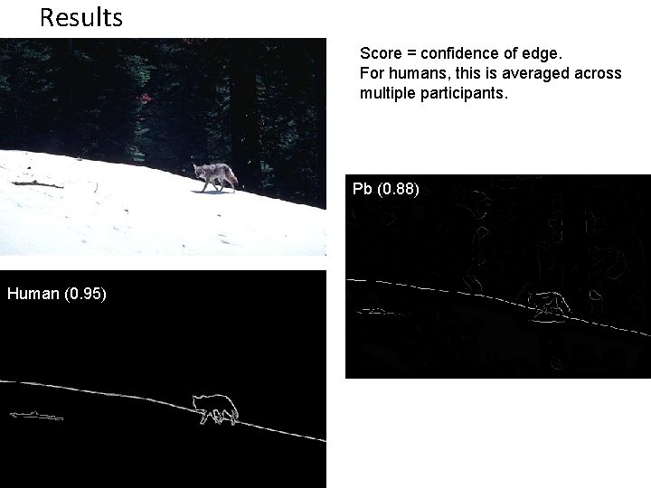 Results Score = confidence of edge. For humans, this is averaged across multiple participants.