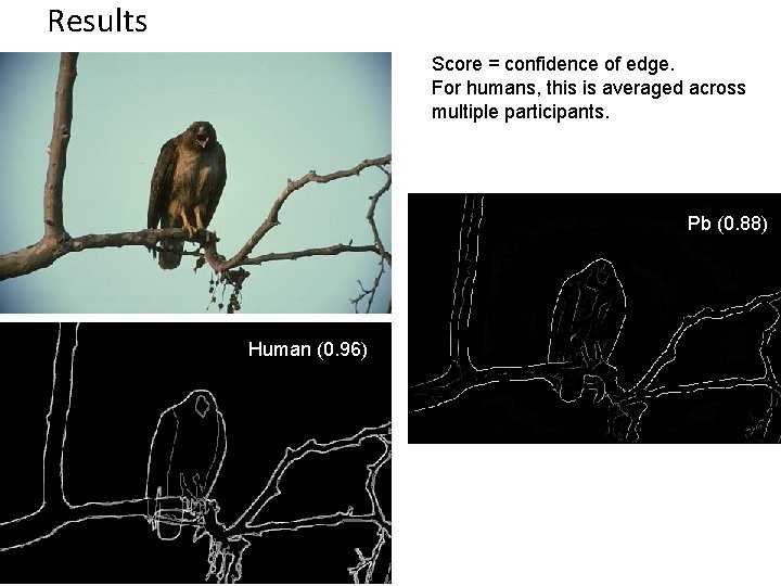 Results Score = confidence of edge. For humans, this is averaged across multiple participants.