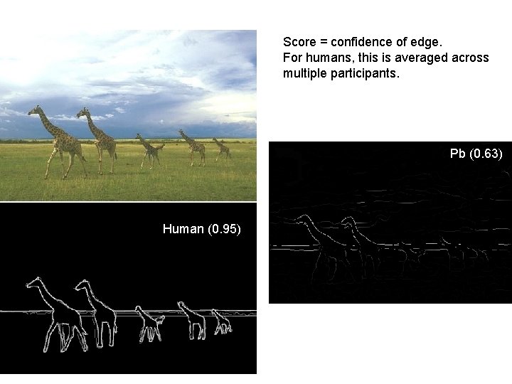 Score = confidence of edge. For humans, this is averaged across multiple participants. Pb