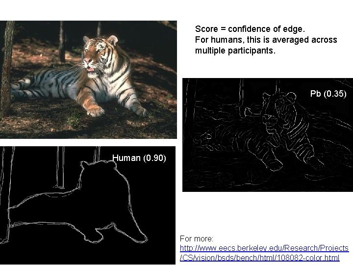 Score = confidence of edge. For humans, this is averaged across multiple participants. Pb