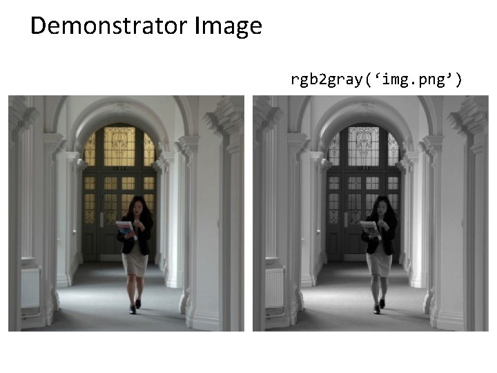 Demonstrator Image rgb 2 gray(‘img. png’) 