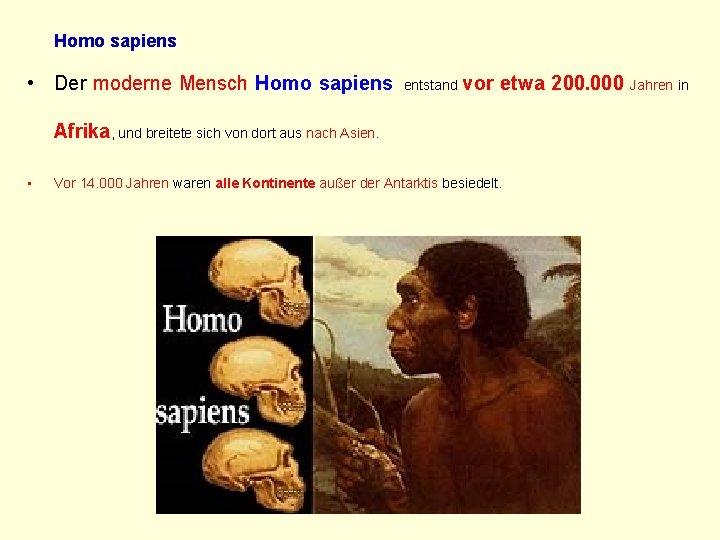 Homo sapiens • Der moderne Mensch Homo sapiens entstand vor etwa 200. 000 Jahren