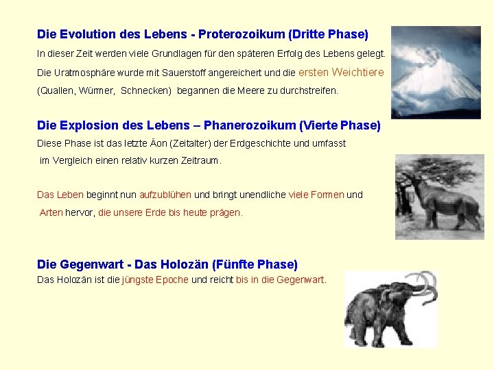 Die Evolution des Lebens - Proterozoikum (Dritte Phase) In dieser Zeit werden viele Grundlagen