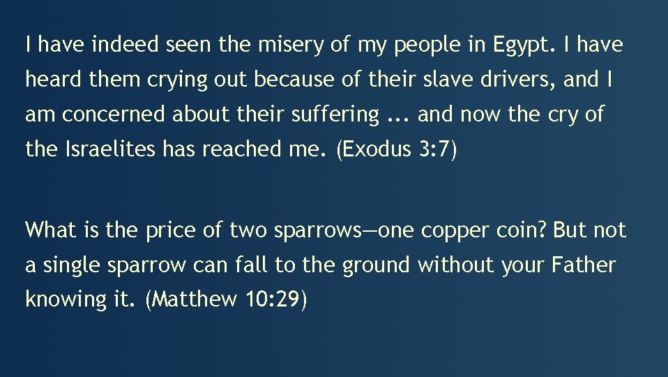 I have indeed seen the misery of my people in Egypt. I have heard
