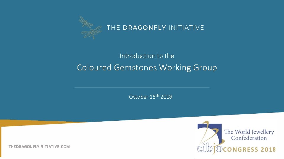 Introduction to the Coloured Gemstones Working Group October 15 th 2018 THEDRAGONFLYINITIATIVE. COM 