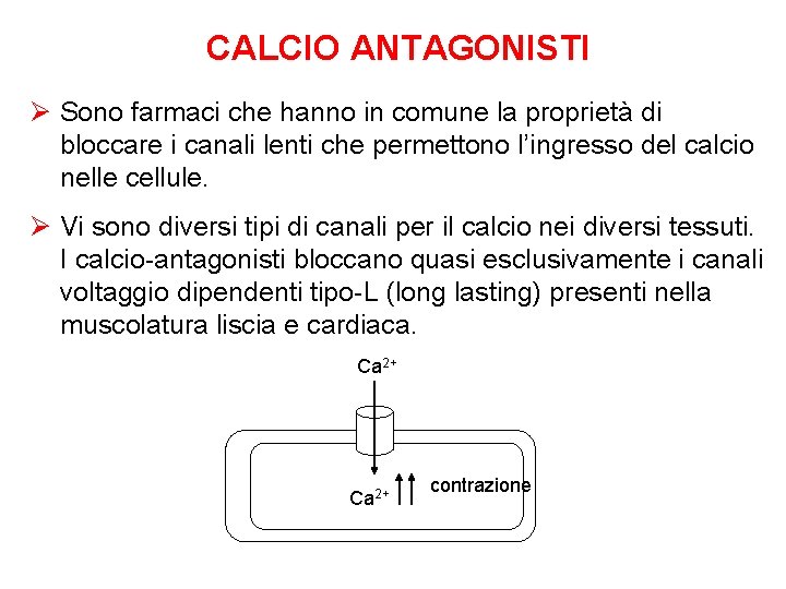 CALCIO ANTAGONISTI Ø Sono farmaci che hanno in comune la proprietà di bloccare i