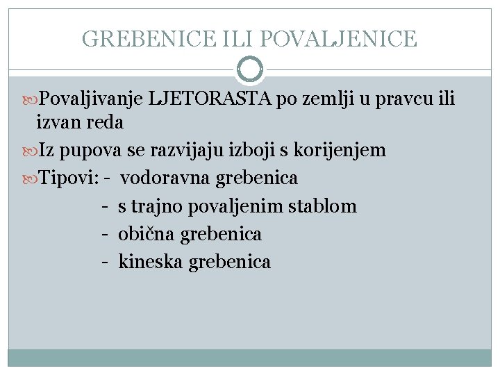 GREBENICE ILI POVALJENICE Povaljivanje LJETORASTA po zemlji u pravcu ili izvan reda Iz pupova