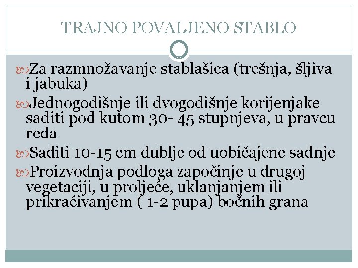 TRAJNO POVALJENO STABLO Za razmnožavanje stablašica (trešnja, šljiva i jabuka) Jednogodišnje ili dvogodišnje korijenjake