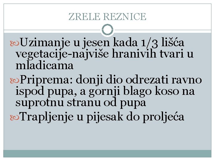 ZRELE REZNICE Uzimanje u jesen kada 1/3 lišća vegetacije-najviše hranivih tvari u mladicama Priprema: