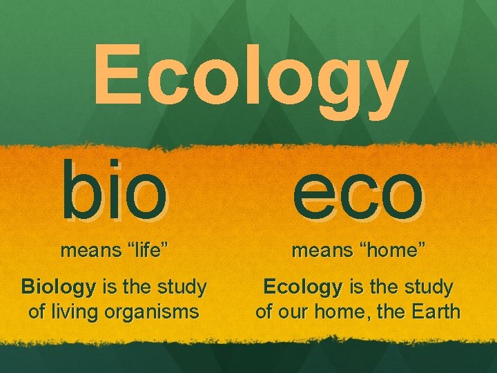 Ecology bio eco means “life” means “home” Biology is the study of living organisms