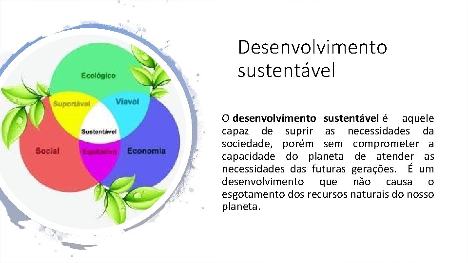 Desenvolvimento sustentável O desenvolvimento sustentável é aquele capaz de suprir as necessidades da sociedade,