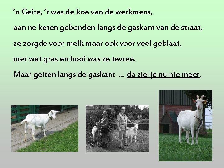 ’n Geite, ’t was de koe van de werkmens, aan ne keten gebonden langs