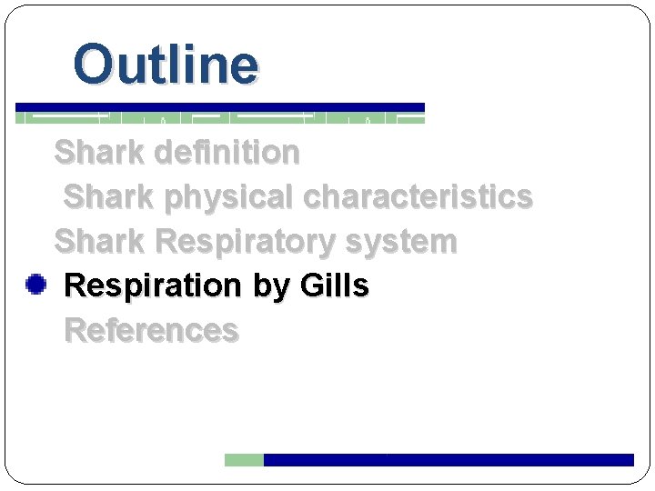 Outline Shark definition Shark physical characteristics Shark Respiratory system Respiration by Gills References 