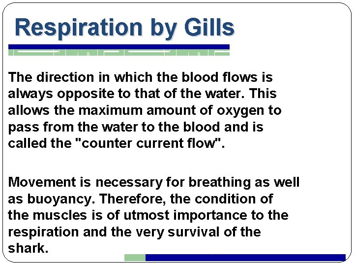 Respiration by Gills The direction in which the blood flows is always opposite to