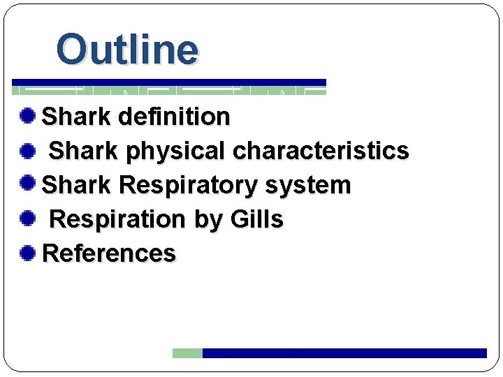 Outline Shark definition Shark physical characteristics Shark Respiratory system Respiration by Gills References 