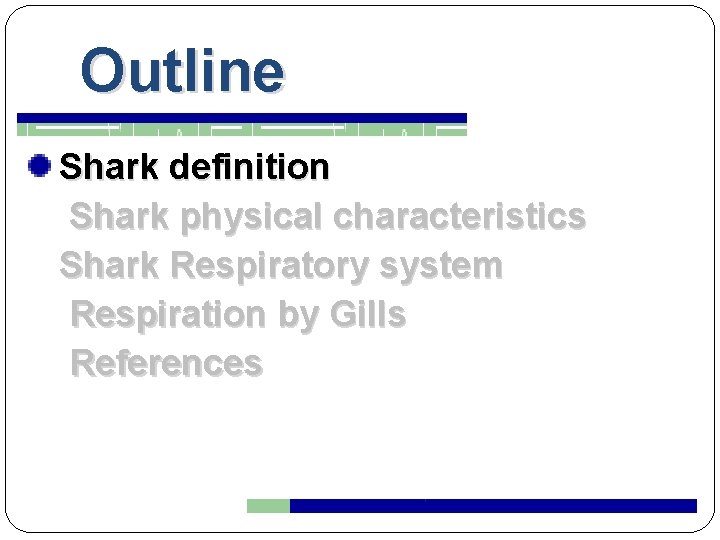 Outline Shark definition Shark physical characteristics Shark Respiratory system Respiration by Gills References 