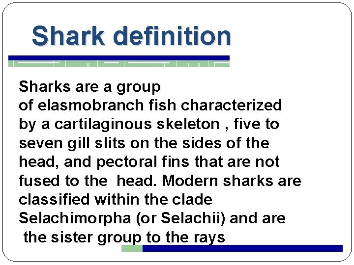 Shark definition Sharks are a group of elasmobranch fish characterized by a cartilaginous skeleton