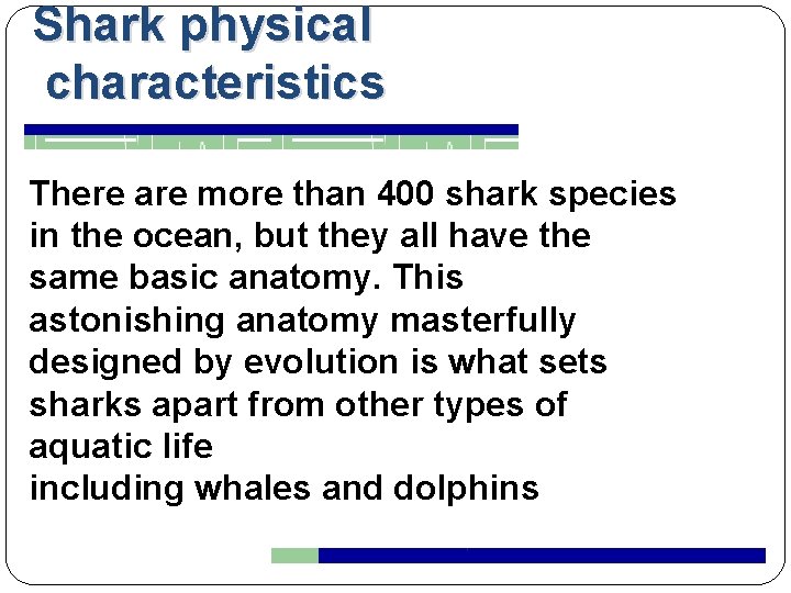 Shark physical characteristics There are more than 400 shark species in the ocean, but